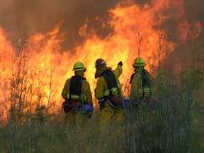 brush_fire1.jpg